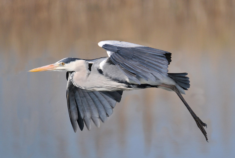 Finalmente in volo...